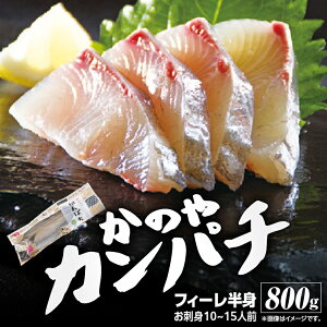 yӂ邳Ɣ[ŁẑJp`tB[ 800g Y Y ς Jp` CY  hg Jpb` uh o ysƋgz