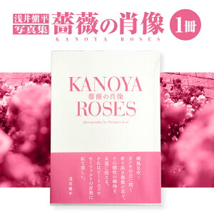 yӂ邳Ɣ[Łzĕʐ^W KN̏ё KANOYA ROSES  ̂΂牀 o KN  ʐ^W NPO@l[YÔ  s  LO v[g Mtg