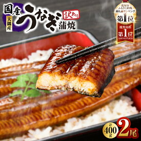 【ふるさと納税】【楽天限定 寄附額】【土用の丑の日特集】【期間限定】【7営業日以内に発送】 スピード配送 高評価レビュー ☆4.63＜選べる＞鹿児島県 大隅産 うなぎ 蒲焼 2尾〜20尾 計290g〜3kg 鰻 魚 鰻重 ひつまぶし 訳あり 大隅地区養まん漁業協同組合 鹿屋市 おすすめ