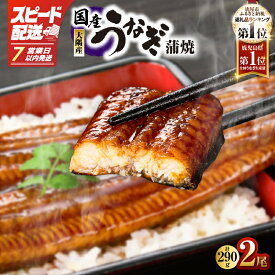 【ふるさと納税】【土用の丑の日特集】【期間限定】【7営業日以内に発送】 スピード配送 高評価レビュー ☆4.63＜選べる＞鹿児島県 大隅産 うなぎ 蒲焼 2尾〜20尾 計290g〜3kg 鰻 魚 鰻重 ひつまぶし 訳あり 大隅地区養まん漁業協同組合 鹿屋市 おすすめ ランキング ギフト