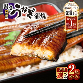 【ふるさと納税】【土用の丑の日特集】高評価レビュー ☆4.74＜選べる＞鹿児島県 大隅産 うなぎ 蒲焼 2尾〜20尾 計320g～3kg 鰻 惣菜 総菜 魚 鰻重 うな重 鰻丼 土用の丑の日 訳あり 冷凍 大隅地区養まん漁業協同組合 鹿児島 鹿屋市 おすすめ ランキング プレゼント ギフト