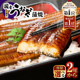 【ふるさと納税】【期間限定】高評価レビュー ☆4.74＜選べる＞鹿児島県 大隅産 うなぎ 蒲焼 2尾〜20尾 計310g〜3kg 鰻 惣菜 総菜 魚 鰻重 鰻丼 土用の丑の日 訳あり 冷凍 大隅地区養まん漁業協同組合 鹿児島 鹿屋市 おすすめ ランキング プレゼント ギフト