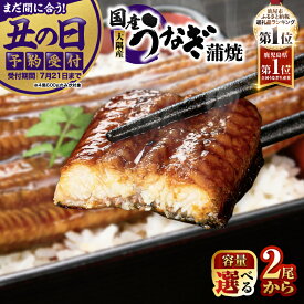 【ふるさと納税】【土用の丑の日特集】【期間限定】【10営業日以内に発送】 スピード配送 高評価レビュー ☆4.63＜選べる＞鹿児島県 大隅産 うなぎ 蒲焼 2尾〜20尾 計360g〜3kg 鰻 魚 鰻重 ひつまぶし 訳あり 大隅地区養まん漁業協同組合 鹿屋市 おすすめ ランキング ギフト