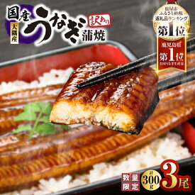 【ふるさと納税】【土用の丑の日特集】【訳あり】【数量限定】鹿児島県 大隅産 うなぎ 蒲焼き 3尾 セット 計300g ウナギ 鰻 蒲焼 鰻重 うな重 鰻丼 土用の丑 真空 パック 惣菜 魚 冷凍 限定 規格外 大隅地区養まん漁業協同組合 ふるさと納税 鹿児島 鹿屋市 おすすめ