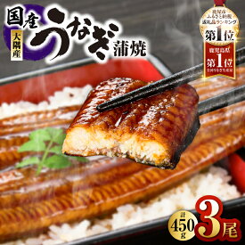 【ふるさと納税】【土用の丑の日特集】高評価レビュー ☆4.74＜選べる＞鹿児島県 大隅産 うなぎ 蒲焼 2尾〜20尾 計320g～3kg 鰻 惣菜 総菜 魚 鰻重 うな重 鰻丼 土用の丑の日 訳あり 冷凍 大隅地区養まん漁業協同組合 鹿児島 鹿屋市 おすすめ ランキング プレゼント ギフト