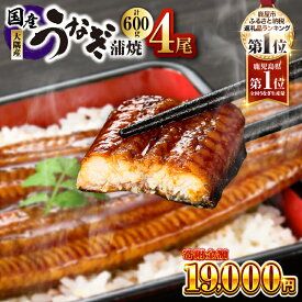 【ふるさと納税】【期間限定】高評価レビュー ☆4.74＜選べる＞鹿児島県 大隅産 うなぎ 蒲焼 2尾〜20尾 計310g〜3kg 鰻 惣菜 総菜 魚 鰻重 鰻丼 土用の丑の日 訳あり 冷凍 大隅地区養まん漁業協同組合 鹿児島 鹿屋市 おすすめ ランキング プレゼント ギフト