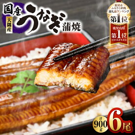 【ふるさと納税】【土用の丑の日特集】高評価レビュー ☆4.74＜選べる＞鹿児島県 大隅産 うなぎ 蒲焼 2尾〜20尾 計310g～3kg 鰻 惣菜 総菜 魚 鰻重 うな重 鰻丼 土用の丑の日 訳あり 冷凍 大隅地区養まん漁業協同組合 鹿児島 鹿屋市 おすすめ ランキング プレゼント ギフト