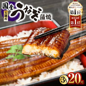 【ふるさと納税】【期間限定】高評価レビュー ☆4.74＜選べる＞鹿児島県 大隅産 うなぎ 蒲焼 2尾〜20尾 計310g〜3kg 鰻 惣菜 総菜 魚 鰻重 鰻丼 土用の丑の日 訳あり 冷凍 大隅地区養まん漁業協同組合 鹿児島 鹿屋市 おすすめ ランキング プレゼント ギフト