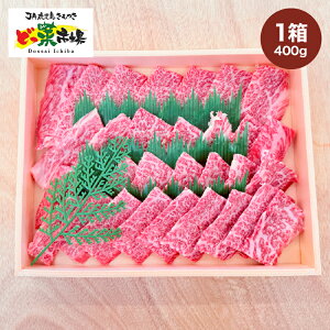 yӂ邳Ɣ[ŁzA5NYјaoJrē@ؔ@400g@1  јa a   Y Ⓚ a5N o Jr Zbg lߍ킹 Mtg y