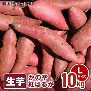yӂ邳Ɣ[ŁzTCYƗʂIׂ遄ys\z ̂g͂邩  V 5kg or 10kg S ` 2L n 60 g͂邩 ܂ ܈  Ĉ Ă Ƃ  Y Y 싴