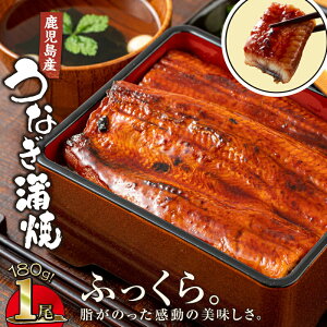 yӂ邳Ɣ[ŁzYȂ180g×1 炩Ȓn炿IӂA炩I Y V EiM Ă {B t ^pbN  W Y  Ș Ђ܂Ԃ y