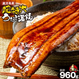 【ふるさと納税】＜選べる＞鹿児島産 超特大 うなぎ 240g×1尾～4尾 合計240g～960g 鰻 ウナギ 蒲焼き 養殖 たれ付 真空パック 湯煎 レンジ 簡単調理 国産 鹿屋市 鹿児島県 【財宝】