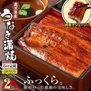 yӂ邳Ɣ[Łzy S6z Y Ȃ 180g×2×6 v 2.16kg (360g×6)  t Y {i Ȃ V    s  EiM  Ⓚ  W  