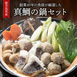 yӂ邳Ɣ[Łza49NnƂ̋II Y^̓ZbgiY^̐ؐg 2lOAJcIo`̓YsgpX[v2lOAYû݂@16m8×2nA