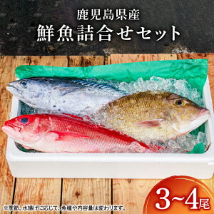 yӂ邳Ɣ[ŁzYNlZbg 4.7kg(3`4) ^ ^AW Jp` L_C `_C AICJ Ȃǂ̏{̋͂I@CY   hg Zbg   ϋ Jp