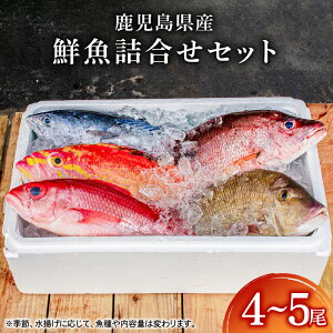 yӂ邳Ɣ[ŁzYNlZbg 5.6kg(4`5) ^ ^AW Jp` L_C `_C AICJ Ȃǂ̏{̋͂I@CY   hg Zbg   ϋ Jp