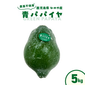 yӂ邳Ɣ[ŁzIׂ遄 ̂Y ppC 3kg or 5kg _sgp ppC X[p[t[h h{ ppC yf N  X[W[ Е \  t[c ʕ  IL