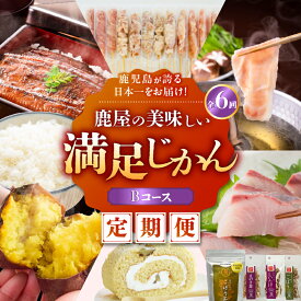 【ふるさと納税】【 全6回 定期便 】 鹿児島が誇る日本一をお届け 鹿屋の美味しい満足じかん 《ハーフコース》 Bコース 定期 肉 惣菜 菓子 スイーツ 豚 鶏 魚 うなぎ 米 ケーキ 焼鳥 さつまいも 野菜 飲料 茶 オキス 鹿児島 鹿屋市 おすすめ ランキング プレゼント ギフト