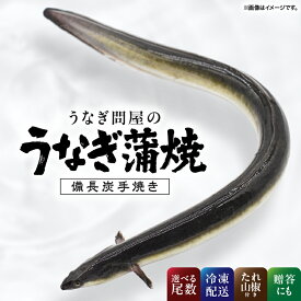 【ふるさと納税】＜選べる＞うなぎ問屋の備長炭手焼 うなぎ蒲焼 2尾～5尾 計300g～600g うなぎ ウナギ 鰻 蒲焼 惣菜 総菜 魚類 魚貝類 魚介類 海産物 鰻重 うな重 ひつまぶし 鰻丼 土用の丑 魚 冷凍 大隅うなぎ販売 鹿児島 鹿屋市 おすすめ ランキング プレゼント ギフト