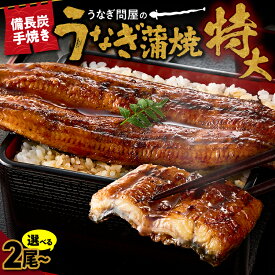 【ふるさと納税】＜選べる＞うなぎ問屋の備長炭手焼 うなぎ蒲焼 特大 2尾 3尾 計400g 〜 660g 特製タレ 山椒付き うなぎ ウナギ 惣菜 魚 魚介類 鰻重 ひつまぶし 鰻丼 魚 冷凍 大隅うなぎ販売 鹿児島 鹿屋市 おすすめ ランキング プレゼント ギフト