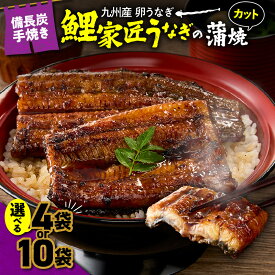 【ふるさと納税】＜選べる＞九州産 卵うなぎ 備長炭手焼 『鯉家匠うなぎ』 カット 蒲焼 パック 計400g 計1kg 4袋 10袋 うなぎ ウナギ 鰻 タレ 惣菜 総菜 魚 鰻重 うな丼 ひつまぶし 鰻丼 土用の丑 国産 大隅うなぎ販売 鹿児島 鹿屋市 おすすめ ランキング プレゼント ギフト