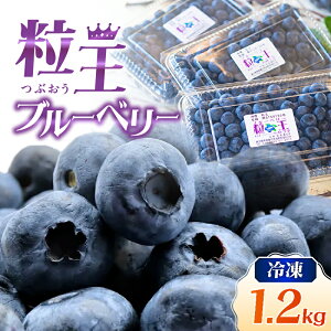 yӂ邳Ɣ[Łzys\zIׂ遄  u[x[ 1.2kg Ⓚ or  400g × 3P 傫̂I u[x[ ʕ ʎ t[c 嗱  u[x[ό__ ӂ