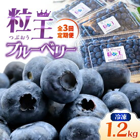 【ふるさと納税】【定期便3回・2ヶ月に1回発送】粒王　冷凍ブルーベリー 計3.6kg[400g×3P×3回]新鮮な甘みを急速冷凍で閉じ込めました！ 定期便 お楽しみ ブルーベリー 果物 フルーツ 無農薬 冷凍 冷凍保存 急速冷凍【ブルーベリー観光農園ワダ】