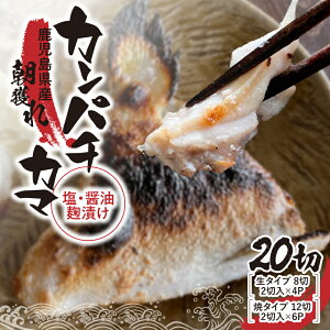 yӂ邳Ɣ[ŁzJp`J}EݖijЂ20؁m^CvEă^Cvn CY  Jp` J} Ă t W ς Ⓚ Y Y yэ]̌bz