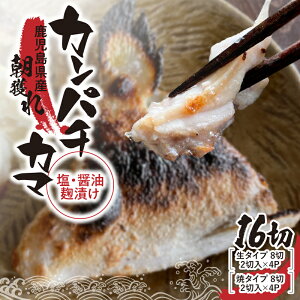 yӂ邳Ɣ[ŁzJp`J}EݖijЂ16؁m^CvEă^Cvn CY  Jp` J} Ă t W ς Ⓚ Y Y yэ]̌bz