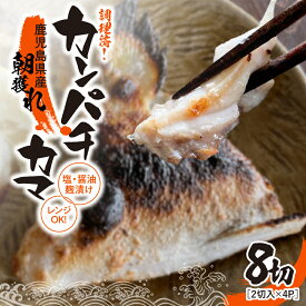 【ふるさと納税】 調理済み！カンパチカマ塩・醤油麹（こうじ）漬け8切［焼タイプ］ 海産物 魚介 カンパチ カマ 焼き 味付き レンジ 調理済み 冷凍 国産 鹿児島産【錦江の恵屋】