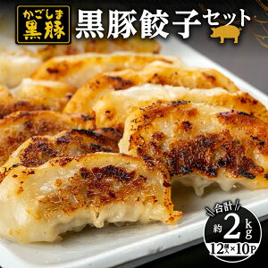 yӂ邳Ɣ[ŁzLq(1210pbN)Ɣ_ňĂ̍؂gW[V[Lqyac{؁z