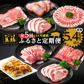 【ふるさと納税】＜国産＞【定期便】鹿児島黒豚ふるさと定期便 ＜全5回お届け＞ 肉 黒豚 豚肉 しゃぶしゃぶ トンカツ 鍋 焼き肉 餃子 ギョーザ 冷凍 和田養豚 鹿児島 鹿屋市 おすすめ ランキング プレゼント ギフト