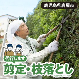 【ふるさと納税】 剪定 枝落とし 作業 チケット サービス 券 手入れ 庭木 庭 自宅 別荘 空き家 ガーデニング 公益社団法人鹿屋市シルバー人材センター 鹿児島 鹿屋市 おすすめ ランキング プレゼント ギフト