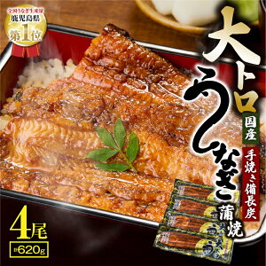 yӂ邳Ɣ[ŁzBYgȂĂ()(v620gE4×155g) `^tIn̐ElYŒJɎĂIy Ɓz