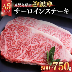 【ふるさと納税】＜選べる＞ 鹿児島県産 黒毛和牛 A5ランク サーロイン ステーキ 500g or 750g 和牛 牛肉 肉 国産 冷凍 贈答 ごちそう 記念日 国産 Dress Up Agri ことぶき精肉店 ふるさと納税 鹿児島 鹿屋市 おすすめ ランキング プレゼント ギフト