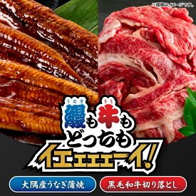 【ふるさと納税】【鰻も牛もどっちもイエェェェーイ！1】 [鹿児島県大隅産うなぎ蒲焼1尾 （約125g〜150g）、鹿児島県産 黒毛和牛 切り落とし 800g（400g×2パック）] うなぎ 鰻 ウナギ 黒毛和牛 牛肉【株式会社nixy 中山亭 鹿屋店】