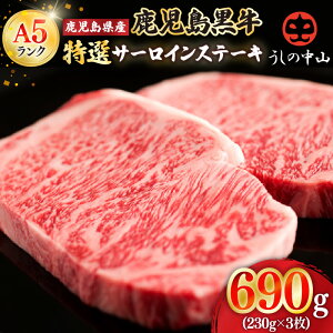 yӂ邳Ɣ[Łz̒R  I T[CXe[L 690gm230g×3n a јa  Y Y sY Xe[L Xe[L aXe[L Mtg   L
