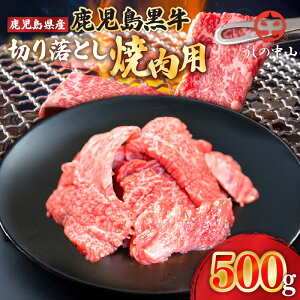 yӂ邳Ɣ[Łz̒R ؂藎Ƃ ē p 500g i500g×1pbNj a јa  ynixy R Xz