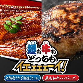 【ふるさと納税】【新聞広告大賞受賞記念】【鰻も牛もどっちもイエェェェーイ！4】鹿児島県大隅産「カット」うなぎ蒲焼80g×1枚 うしの中山和牛100%ハンバーグ2個 うなぎ 鰻 蒲焼 【株式会社nixy 中山亭 鹿屋店】