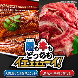 【ふるさと納税】【新聞広告大賞受賞記念】【鰻も牛もどっちもイエェェェーイ！7】鹿児島県大隅産「カット」うなぎ蒲焼80g×2枚 最高級A5・黒毛和牛切り落とし300g うなぎ 鰻 蒲焼 土用の丑 鹿児島 黒毛和牛 【株式会社nixy 中山亭 鹿屋店】