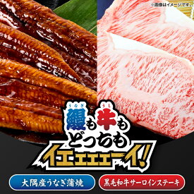 【ふるさと納税】【新聞広告大賞受賞記念】【鰻も牛もどっちもイエェェェーイ！8】鹿児島県大隅産うなぎ蒲焼1尾150g うしの中山サーロインステーキ200g うなぎ 鰻 蒲焼 土用の丑 【株式会社nixy 中山亭 鹿屋店】