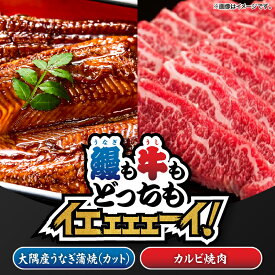 【ふるさと納税】【新聞広告大賞受賞記念】【鰻も牛もどっちもイエェェェーイ！6】鹿児島県大隅産「カット」うなぎ蒲焼80g×2枚 鹿児島和牛・A5カルビ焼肉200g うなぎ 鰻 蒲焼 土用の丑 鹿児島 【株式会社nixy 中山亭 鹿屋店】