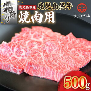 yӂ邳Ɣ[Łz̒R ~ ē p 500g i500g×1pbNj a јa  ynixy R Xz