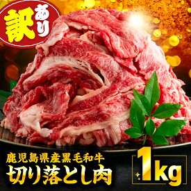 【ふるさと納税】 訳あり 鹿児島県産 黒毛和牛 切り落とし肉 1kg 500g × 2P わけあり 規格外 肉 牛肉 切落し 赤身 霜降り 希少部位 脂 牛丼 ランダム ボリューム 大容量 冷凍 国産 鹿児島産 nixy 中山亭 鹿屋店 鹿児島 鹿屋市 おすすめ ランキング プレゼント ギフト