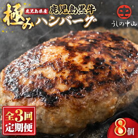 【ふるさと納税】【3回定期】鹿児島県産『鹿児島黒牛』極めたハンバーグ計24個[8個×3回] 黒毛和牛を100％使用！和牛 国産 冷凍 小分け 冷凍ハンバーグ 肉 nixy 中山亭 うしの中山 鹿児島 鹿屋市 おすすめ ランキング プレゼント ギフト