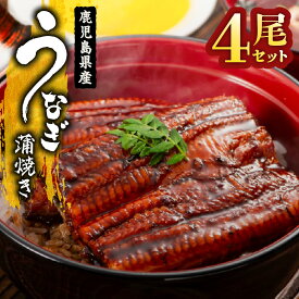 【ふるさと納税】＜国産＞ 鹿児島県大隅産！うなぎの蒲焼き4尾(計544g・136g×4尾)うなぎのたれ・山椒付き！無投薬にこだわり！鰻丼やひつまぶしにも！真空パックでお届け！【西日本養鰻】