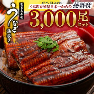 yӂ邳Ɣ[ŁzǂAオIȂ{Bʓ{ꂩ̒IyȂĂ3000zȏd Vd V Ђ܂Ԃ ^pbN  yp̉N̓y{{Vz