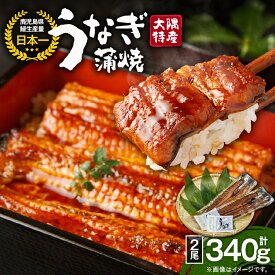 【ふるさと納税】【12/21入金まで年内発送】＜国産＞ 大隅特産うなぎ蒲焼2尾(計340g［170g×2尾］) たれ・山椒付き！無頭真空パックのウナギ蒲焼き！湯煎または電子レンジで温めるだけでうなぎ本来の美味しさを味わえます！【株式会社寺園商店】