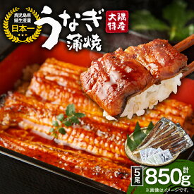 【ふるさと納税】＜国産＞ 大隅特産うなぎ蒲焼(5尾・計850g)たれ・山椒付き！湯煎または電子レンジで温めるだけでうなぎ本来の美味しさを味わえます！【株式会社寺園商店】