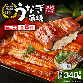 【ふるさと納税】【定期便6回】大隅特産うなぎ蒲焼2尾（340g）×6回 合計12尾 計2.04kg 【国産】たれ付 真空パック 湯煎 レンジ 簡単調理 国産 国産うなぎ 定期 うなぎ蒲焼 小分け 定期便 鹿児島県 鹿屋市【寺園商店】